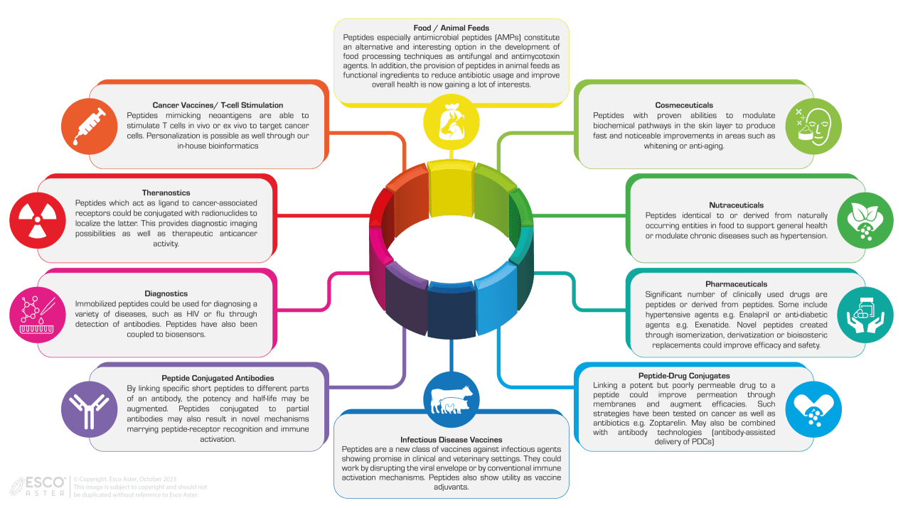 Possibilities with Peptides